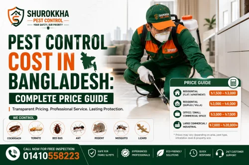 Pest Control Cost in Bangladesh Complete Price Guide