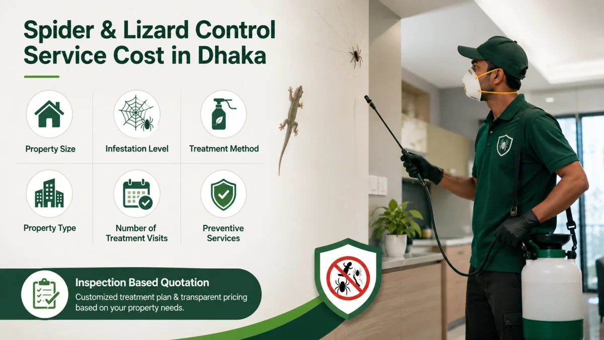 Spider & Lizard Control Service Cost in Dhaka