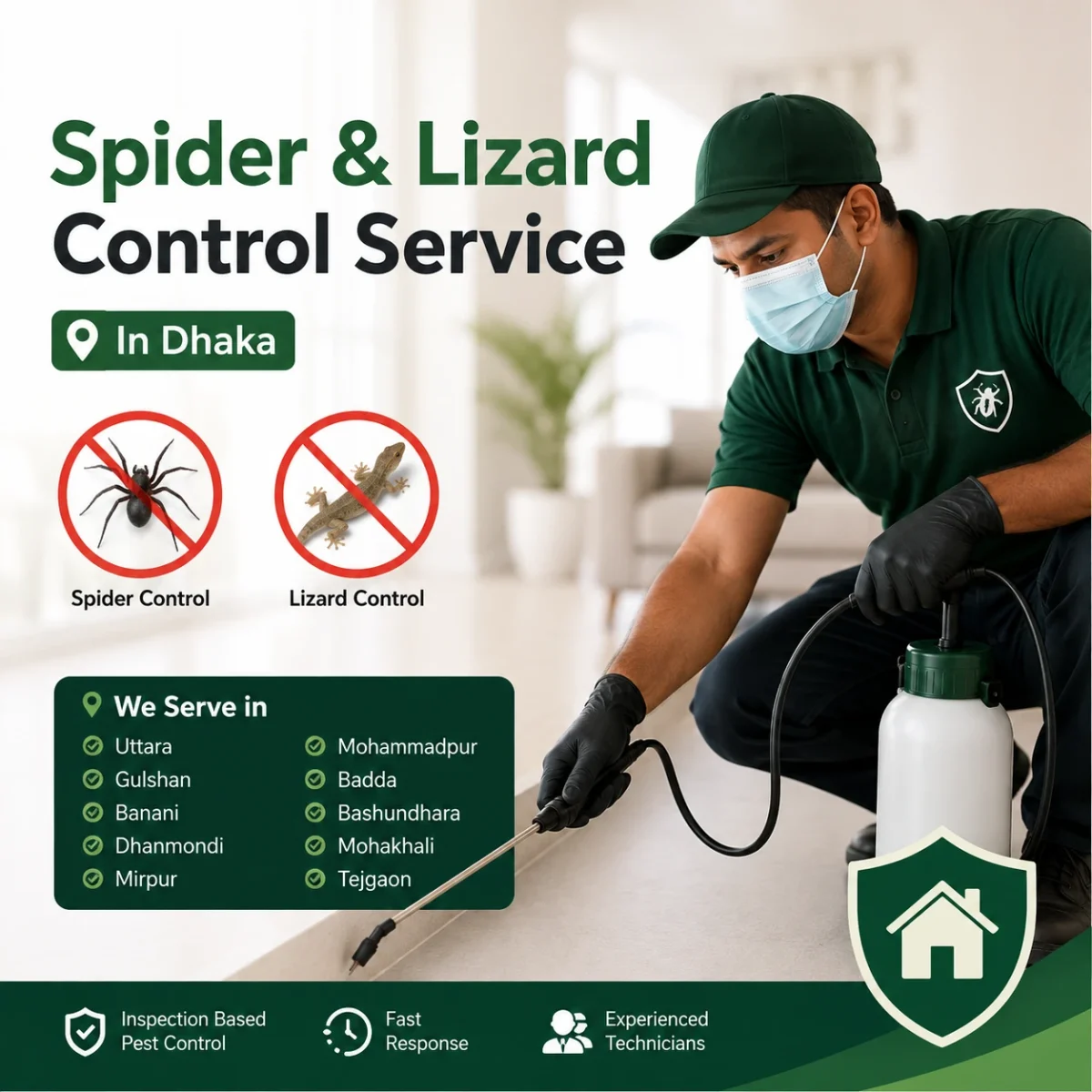 Spider & Lizard Control Service Near Me in Dhaka