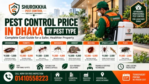 How to Get Rid of Cockroaches