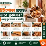 ঘরে উইপোকা হয়েছে কীভাবে বুঝবেন? ১০টি গুরুত্বপূর্ণ লক্ষণ ও করণীয়